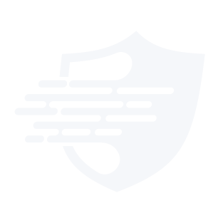 WP-Firewall logo