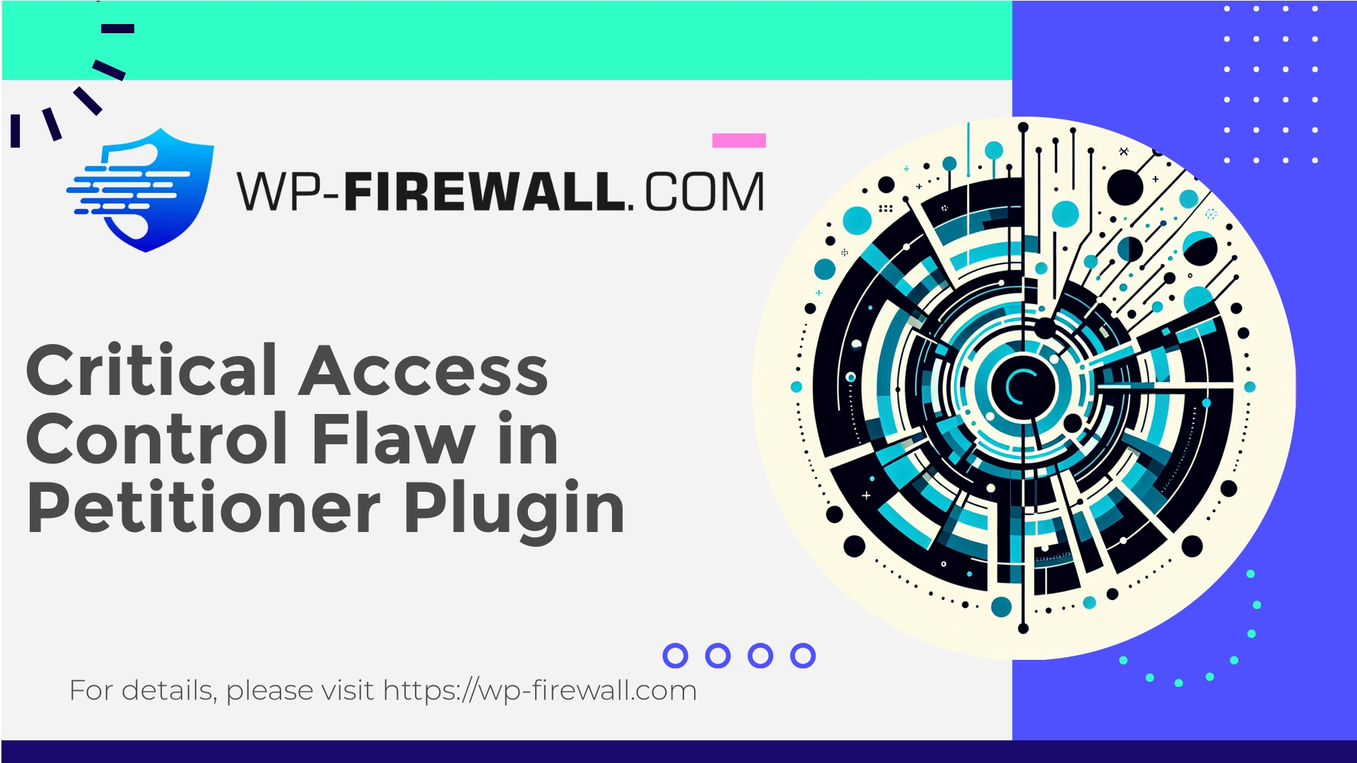 Petitioner Plugin Vulnerability