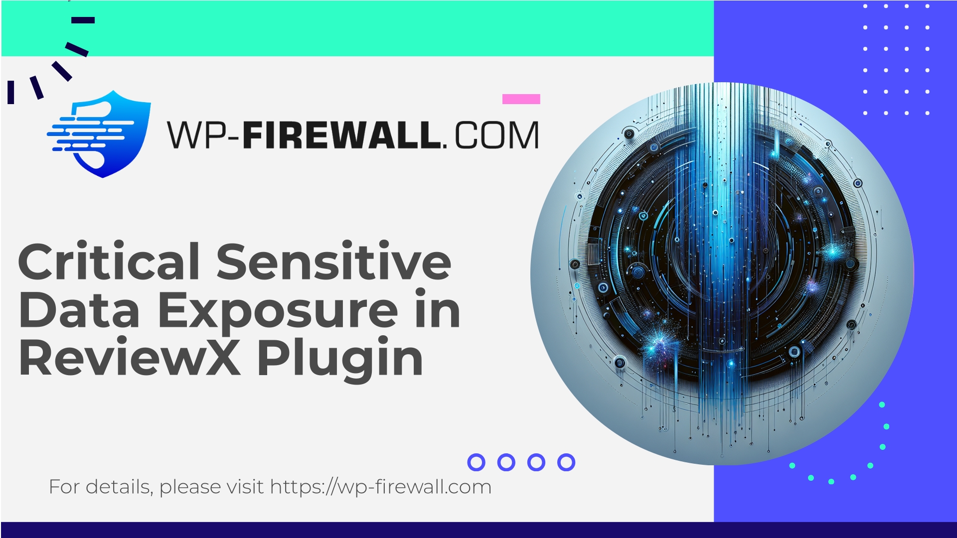 ReviewX Vulnerability
