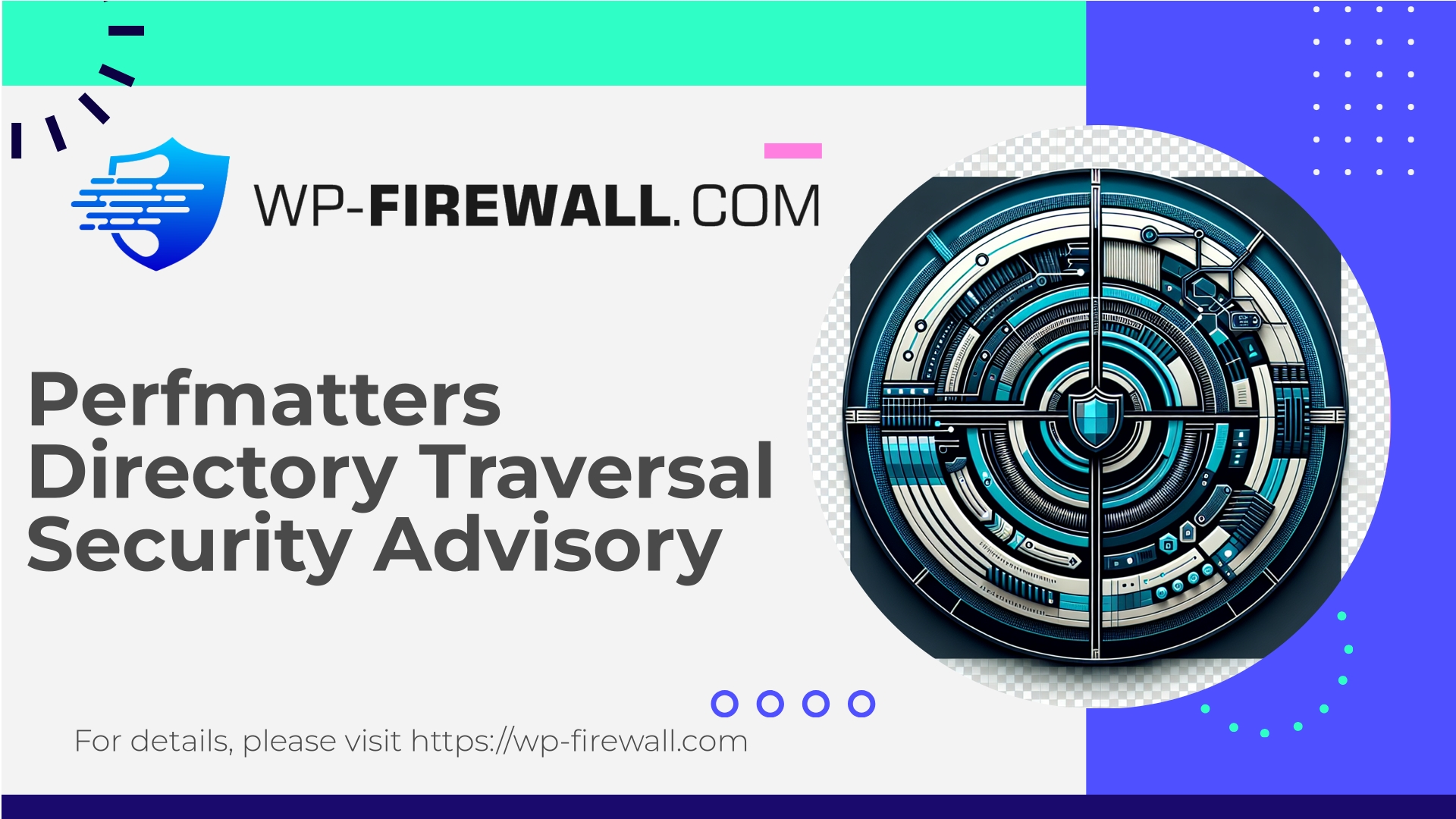 Perfmatters Vulnerability