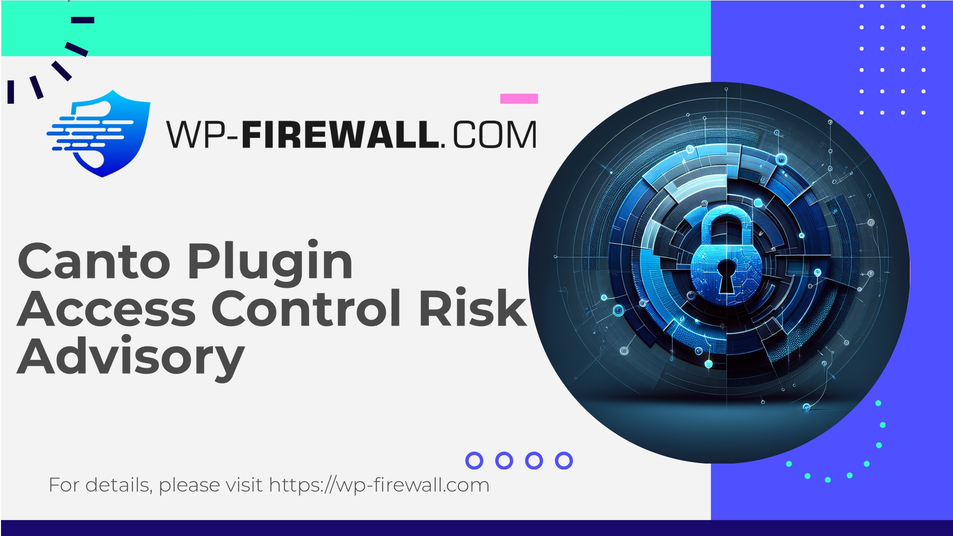 Canto Plugin Vulnerability Image