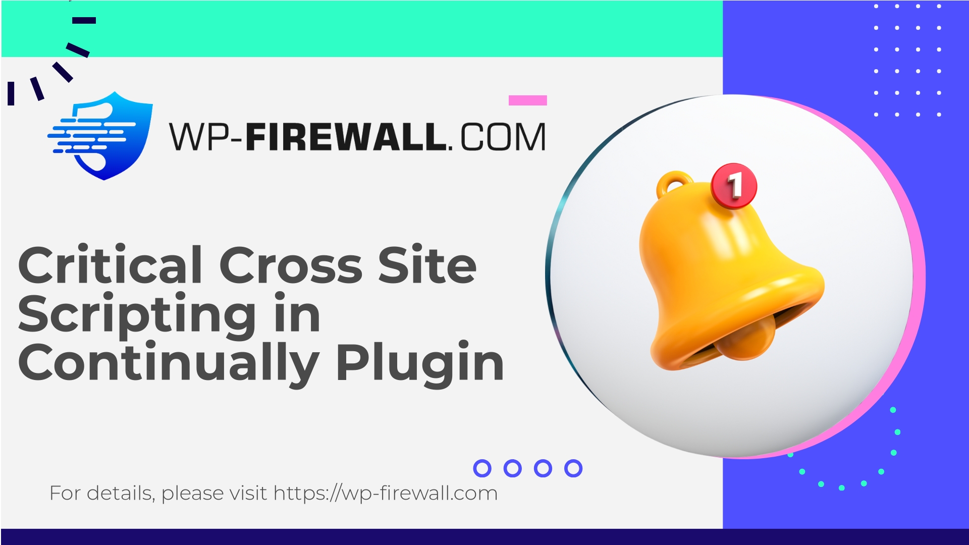 Continually Plugin Vulnerability