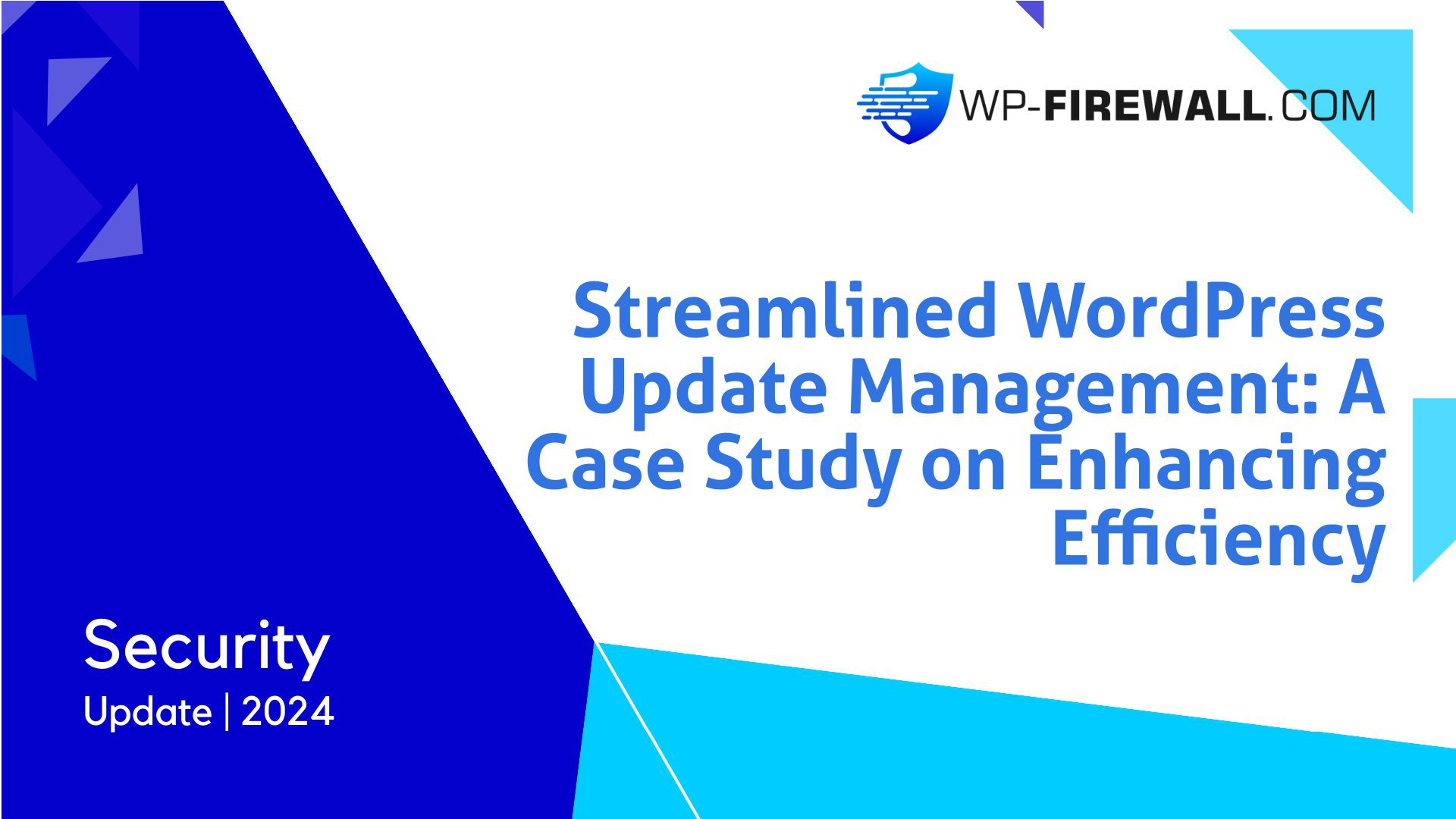 Streamlined WordPress Patch Update Management: A Case Study on Enhancing Efficiency cover