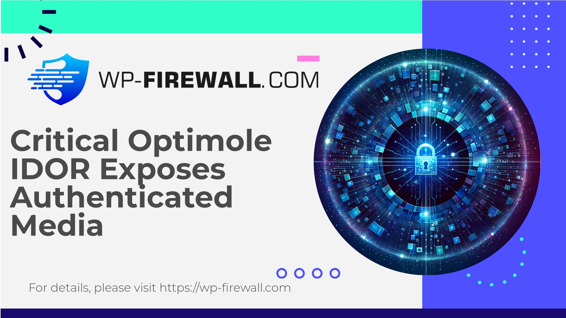 Optimole Plugin Vulnerability